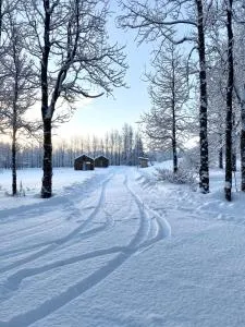 Bjarmaland Cottages - Skálholt