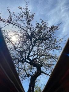 Maisons de vacances Longere normande en Pays de Caux : photos des chambres