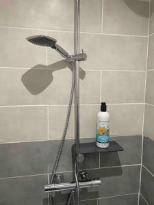 Maisonnette des Douves Plein Centre 1 à 4 voyageurs