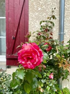 Maison de famille Les Hirondelles