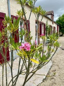 Maisons de vacances Maison de famille Les Hirondelles : photos des chambres