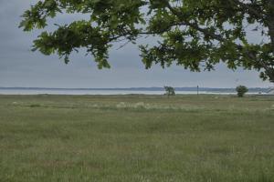 Awesome Home In Ørsted With 3 Bedrooms, Sauna And Wifi