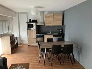 Grand studio centre ville St Pierre - Mazières-en-Mauges