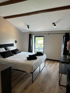 B&B / Chambres d'hotes La Tannerie des Spaens : photos des chambres