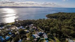 The Agave - Currarong