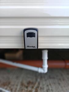 Mallard at Carlton meres