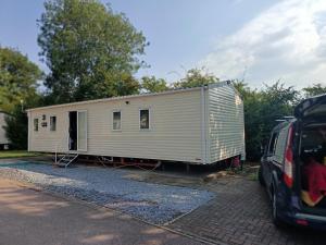 Mallard at Carlton meres