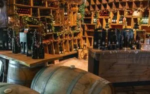 Lauren the tiny cabin in Chittering - Chittering