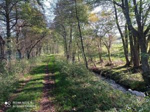 Chalets Chalet des fontaines claires : photos des chambres