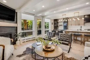 Modern 2 BR in Aspen Core Walk Everywhere - Meredith