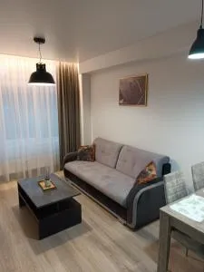 Bruklinas - Radviliškis