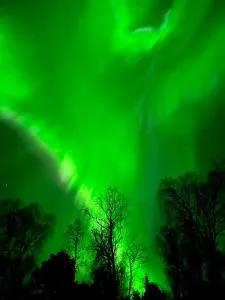 Stilren leilighet i Narvik! - Bogen