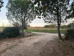 B&B / Chambres d'hotes Chambre dans bastide au milieu des vignes : photos des chambres