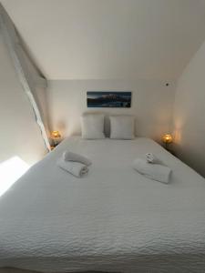 Appartements Appt 4 pers 30mn Lourdes Vallee d-Ossau : photos des chambres