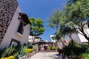 Family House with landscape garden in San Miguel