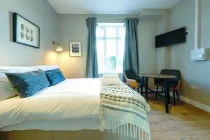 The Willow studio 5 - 阿蒙兹伯里