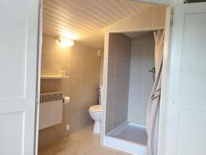Maisons de vacances The Villa du Canal spacious house with swimming pool : photos des chambres