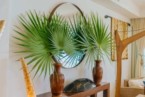 Full Floor Beachfront Luxury Apartment