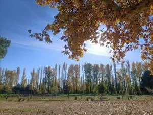 Gîte des Platanes - Saint-Étienne-des-Sorts