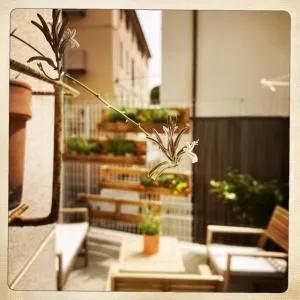 Casa di Emma - 奎里阿诺