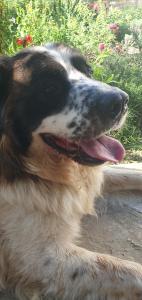 Три горішки