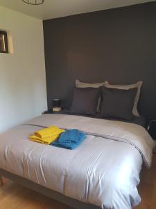 B&B / Chambres d'hotes Chambres d-hotes les portes de la Saone : photos des chambres