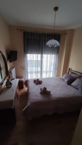 Trikala City Apartment