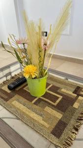 2A Estepa Apart-centro costanera