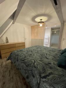 Appartements Le Cosy Green - centre-ville : photos des chambres