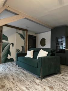 Appartements Le Cosy Green - centre-ville : photos des chambres