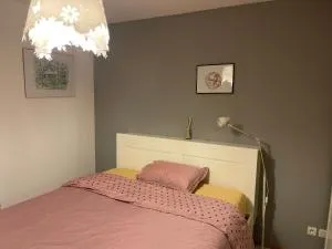 Cerisier 2 - Villard-Saint-Sauveur