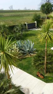 B&B "Corte San Tomaso"