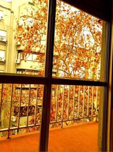 Departamento Los pichis Mar del Plata