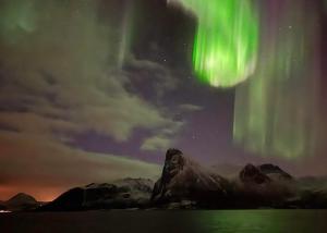 Senja Living