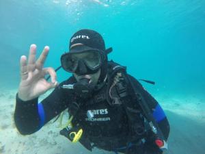 Spacious property ocean view, pool and garage