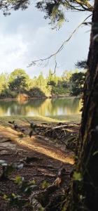 Glamping DESEO con Jacuzzi, Wifi, fogata y vistas de Medellín