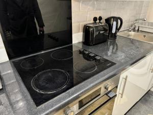 1 Luxe Bed Apt GView Derby City