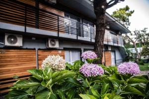 Apart Valeria cerca del Mar