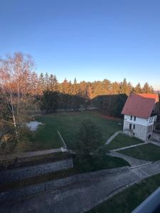 Woodland Strawberry - Titova Vila Zlatibor