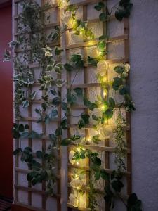 Appartements Rayon de soleil : photos des chambres