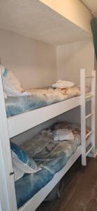 Breakers 220 Oceanfront Condo, Direct Beach Access, Heated Pool, Elevator, Renovated, Coligny Beach, Vacation Rental HHI LLC