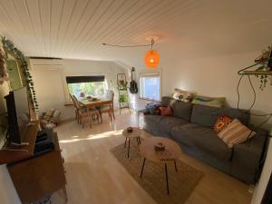 Rustic House in Nature