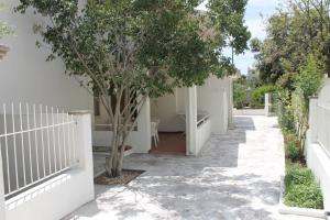 Appartamenti Le Mimose img35