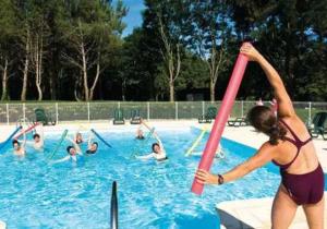 Chalets Chalet 3 etoiles - Piscine - ccaffag : photos des chambres