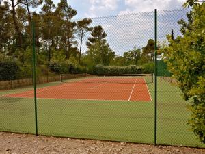 Villa in Provence with Private Pool & Tennis