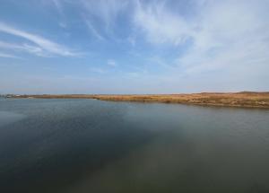 Couples Retreat Pool Steps to Beach Boat Slip