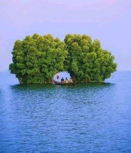 Bliss Homestay Munroe Island