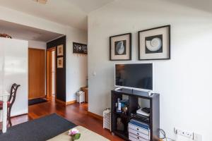 Penthouse City Center apartment