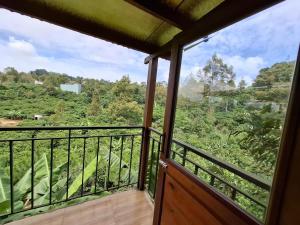 Blao Corner Homestay