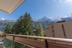 Appartement lumineux à Chamonix avec vue imprenable sur Mont Blanc et parking